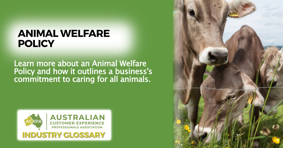 Animal Welfare Policy