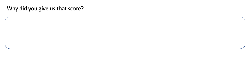 Example of an open-ended CES question