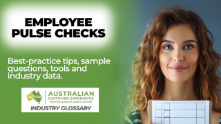 Employee Pulse Checks